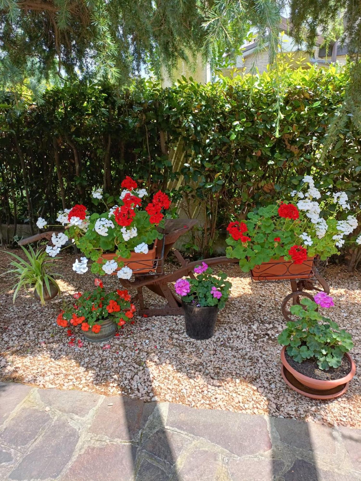 Recanati Family 외부 사진
